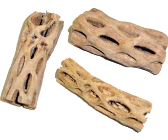 3" Cholla Logs