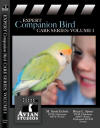 Avian Studios Vol 1
