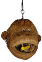 Coco Monkey