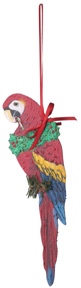 Scarlet Macaw