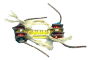 Yappie Foot Toy by Fun Max