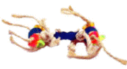 Poujo Foot Toy by Fun Max